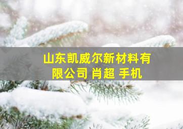 山东凯威尔新材料有限公司 肖超 手机